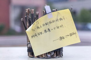 創意制作，一起開開腦洞