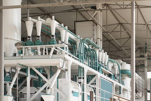 河南中瑞糧油機(jī)械 面粉加工工藝流程、設(shè)備制造與光伏設(shè)備銷售業(yè)務(wù)概覽